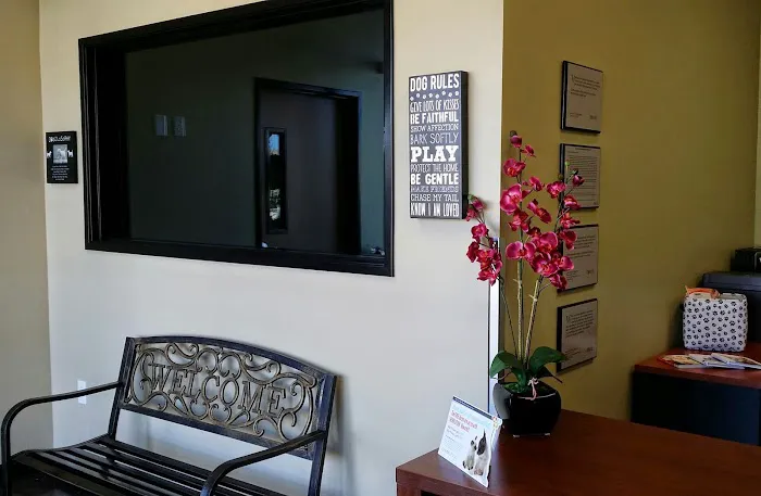 Temecula Valley Animal Hospital 5