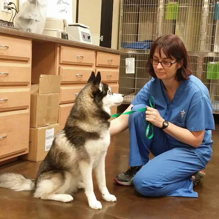 Temecula Valley Animal Hospital 6