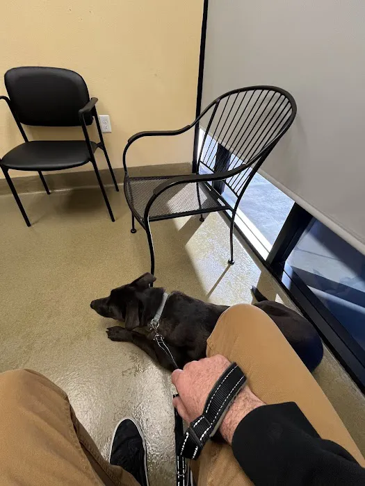 Hot Springs Animal Hospital 9