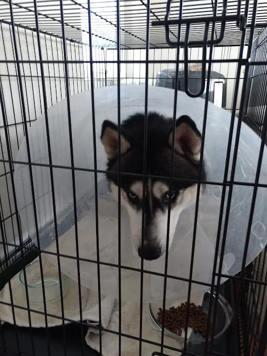 Banfield Pet Hospital 5