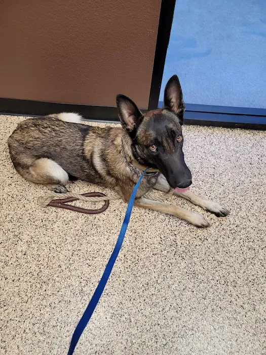 Murrieta Animal Hospital 8