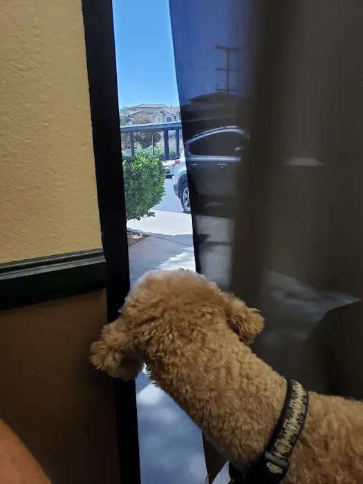 Murrieta Animal Hospital 3