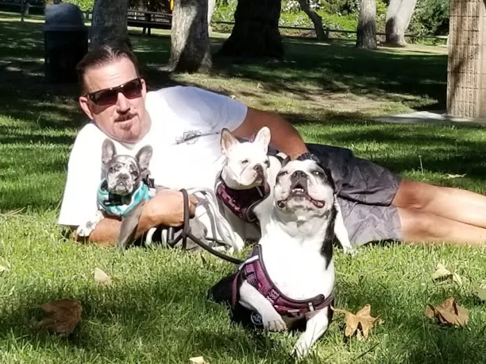Murrieta Animal Hospital 4