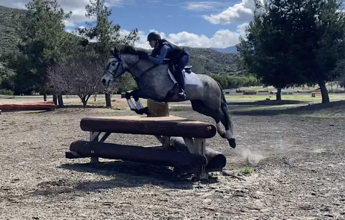 Temeku Equine Inc 2