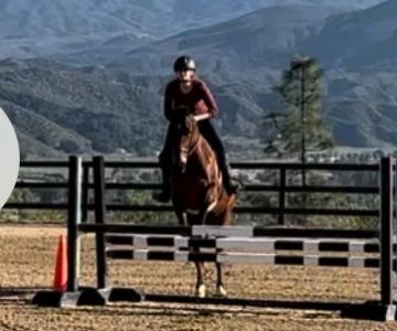 Temeku Equine Inc