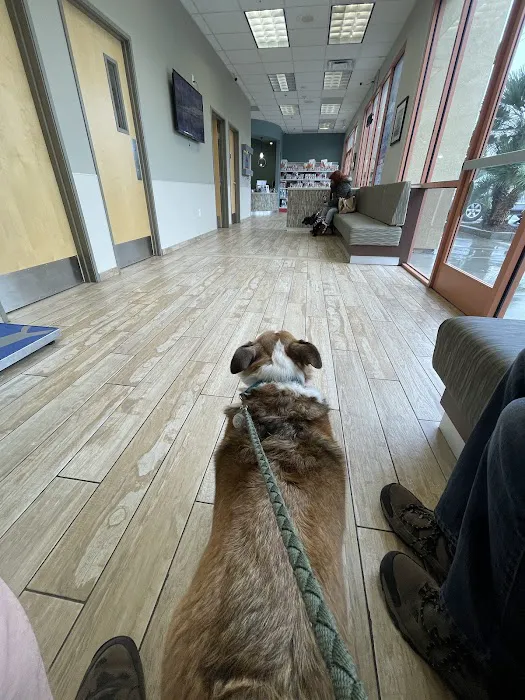 Sky Canyon Animal Hospital- Murrieta 2