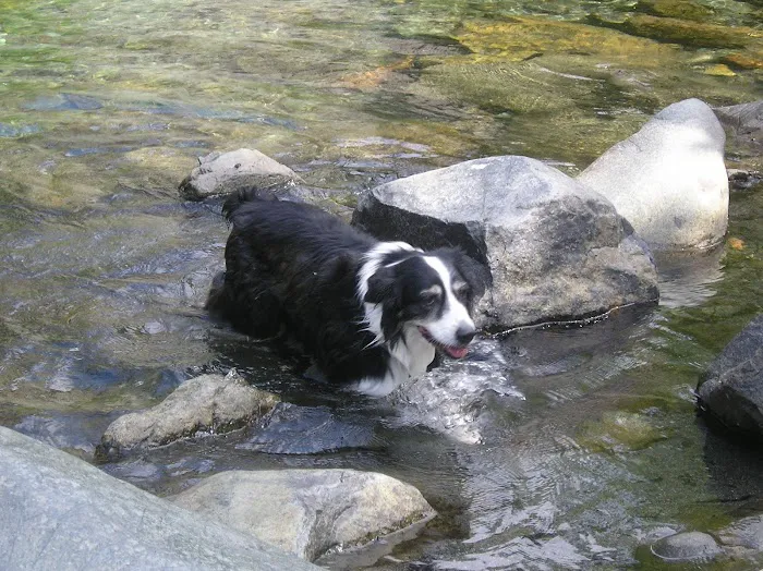 Sky Canyon Animal Hospital- Murrieta 3