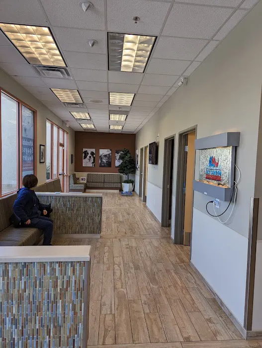 Sky Canyon Animal Hospital- Murrieta 6