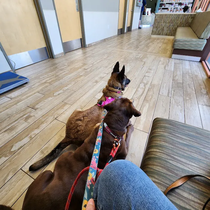 Sky Canyon Animal Hospital- Murrieta 7