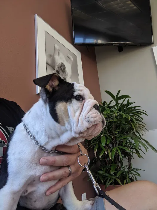 Sky Canyon Animal Hospital- Murrieta 8