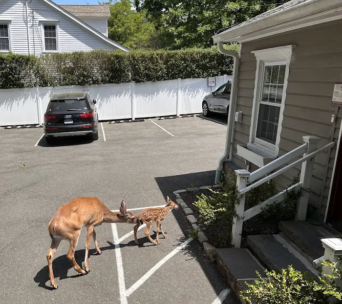 Winslow Park Animal Hospital 10