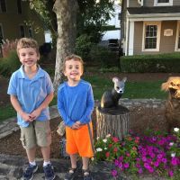 Winslow Park Animal Hospital ico