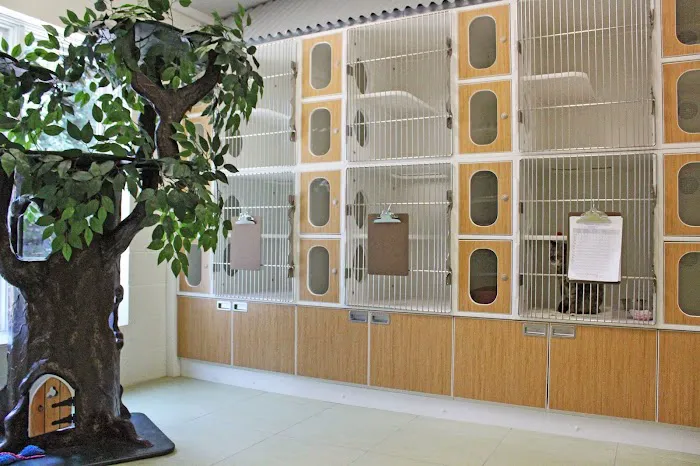 Schulhof Animal Hospital, LLC 12