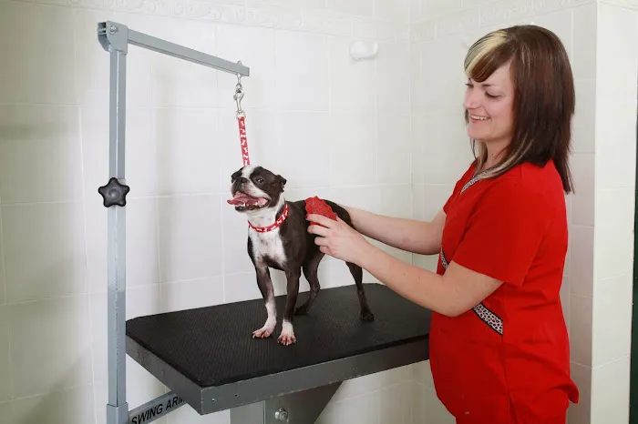 Schulhof Animal Hospital, LLC 12