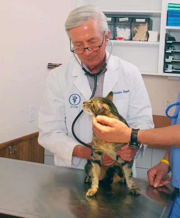 Schulhof Animal Hospital, LLC 12
