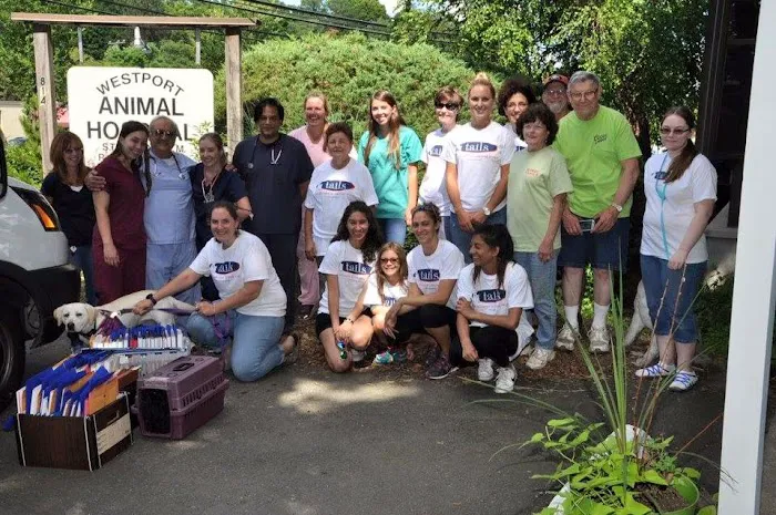 Westport Animal Hospital 7
