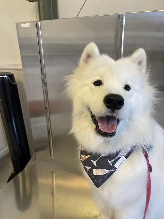 Westport Animal Hospital 6
