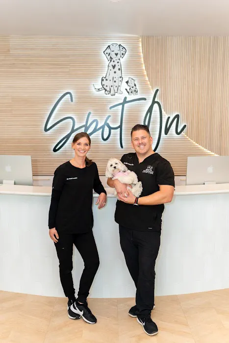 Spot On Veterinary Hospital - Westport 12