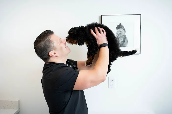 Spot On Veterinary Hospital - Westport 12
