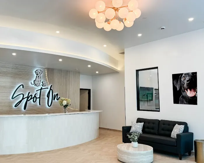 Spot On Veterinary Hospital - Westport 12