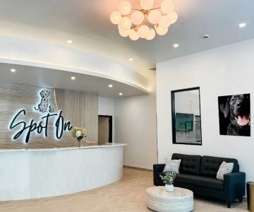 Spot On Veterinary Hospital - Westport