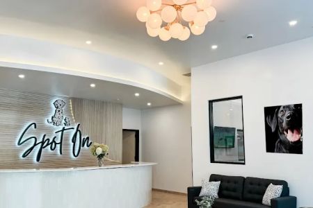 Spot On Veterinary Hospital - Westport
