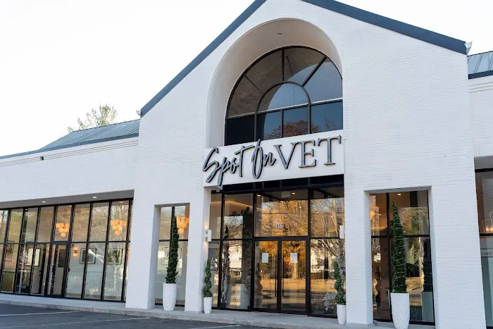 Spot On Veterinary Hospital - Westport 12