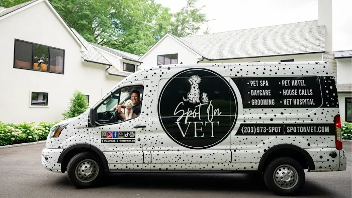 Spot On Veterinary Hospital - Westport 12