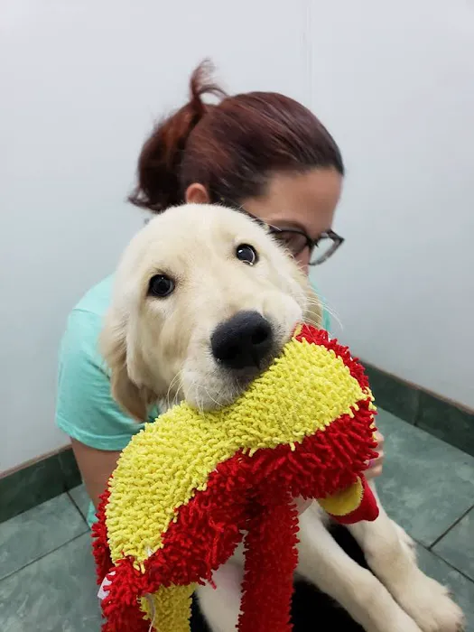 Greenfield Animal Hospital 12