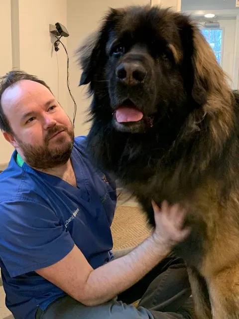 Easton Veterinary 12