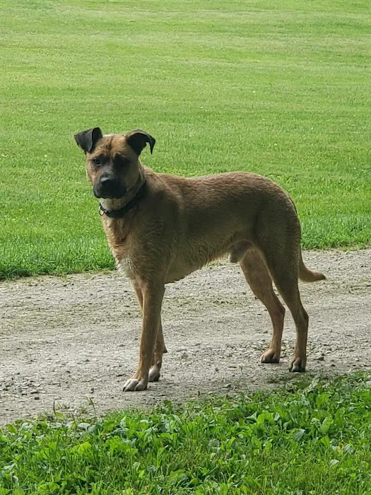 Pine Plains Veterinary Hospital 9