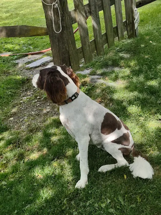 Pine Plains Veterinary Hospital 7