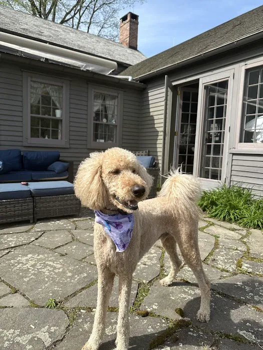 Pine Plains Veterinary Hospital 1