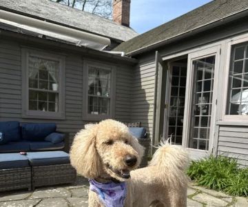 Pine Plains Veterinary Hospital