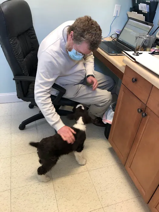 Kent Animal Clinic 12