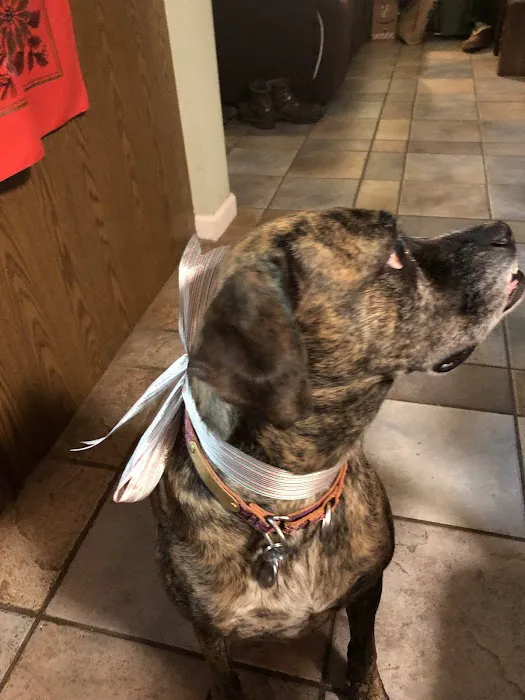 Bee Tree Veterinary Clinic LLC 1