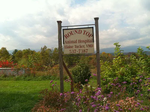Roundtop Animal Hospital 12