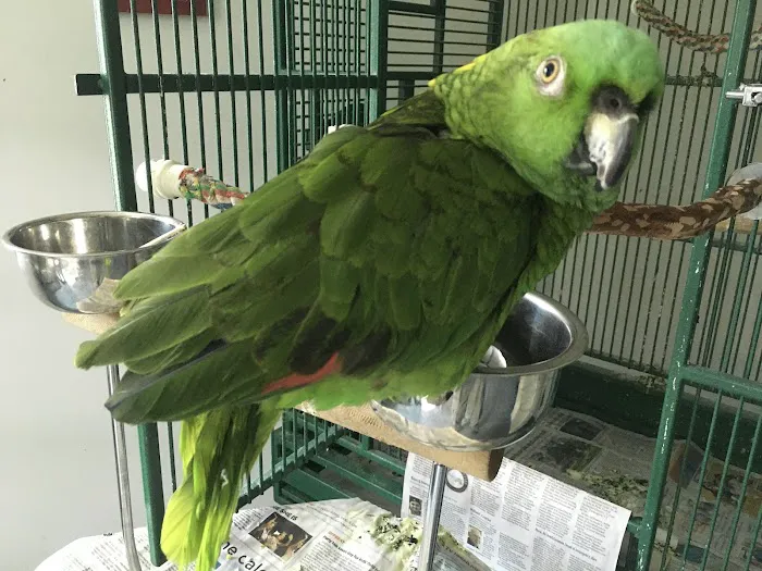 Bantam Lake Animal Hospital 3