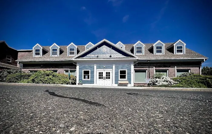 Stone Veterinary Hospital 12