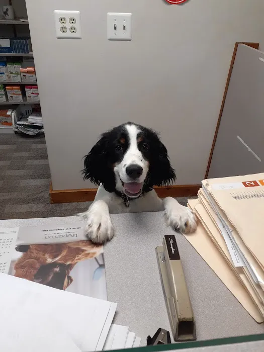 Middlebury Animal Hospital Associates, LLC 4