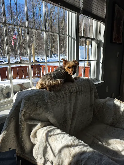 Middlebury Animal Hospital Associates, LLC 7