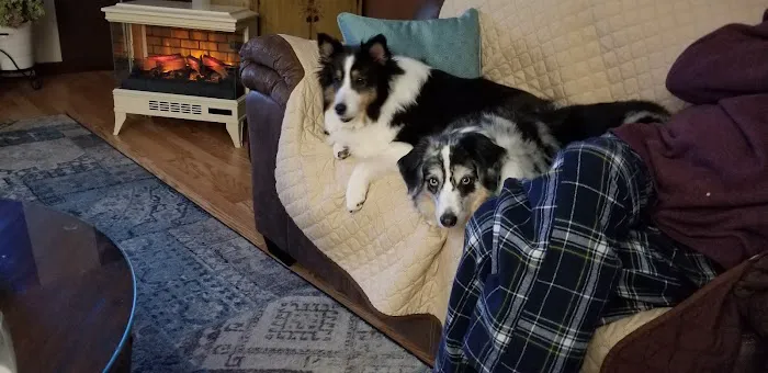 Middlebury Animal Hospital Associates, LLC 9