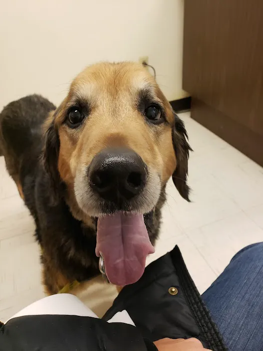 Watertown Animal Hospital 12