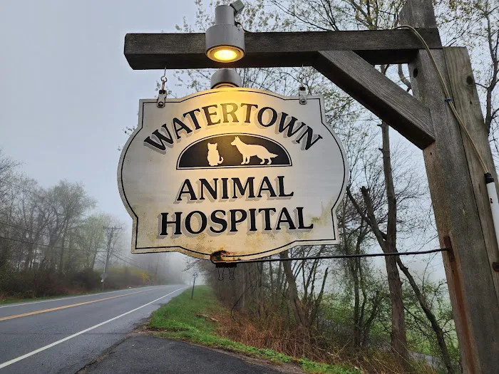 Watertown Animal Hospital 12