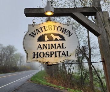 Watertown Animal Hospital