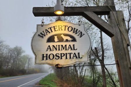 Watertown Animal Hospital