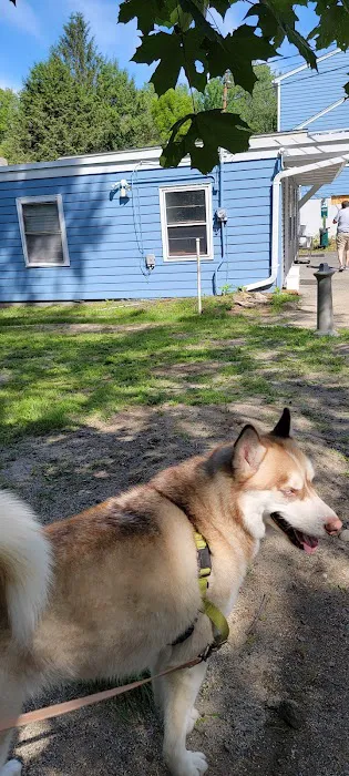 Watertown Animal Hospital 12
