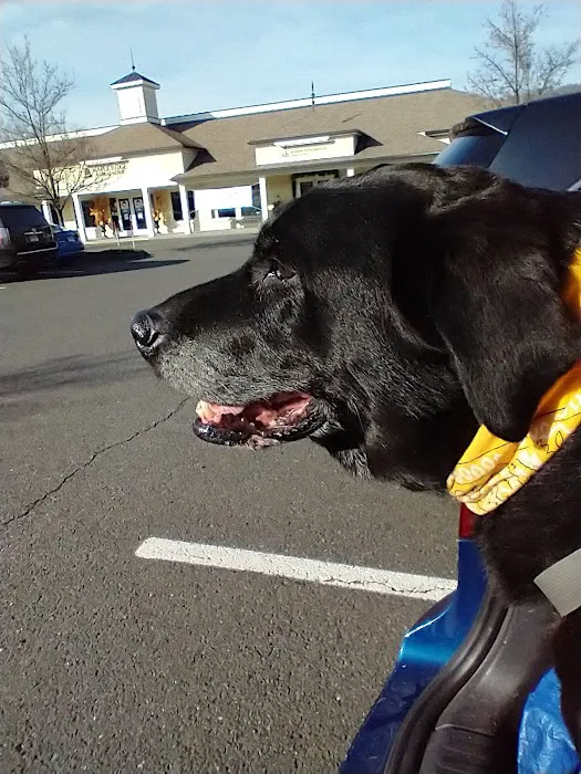 VCA Maple Ridge Animal Hospital 12