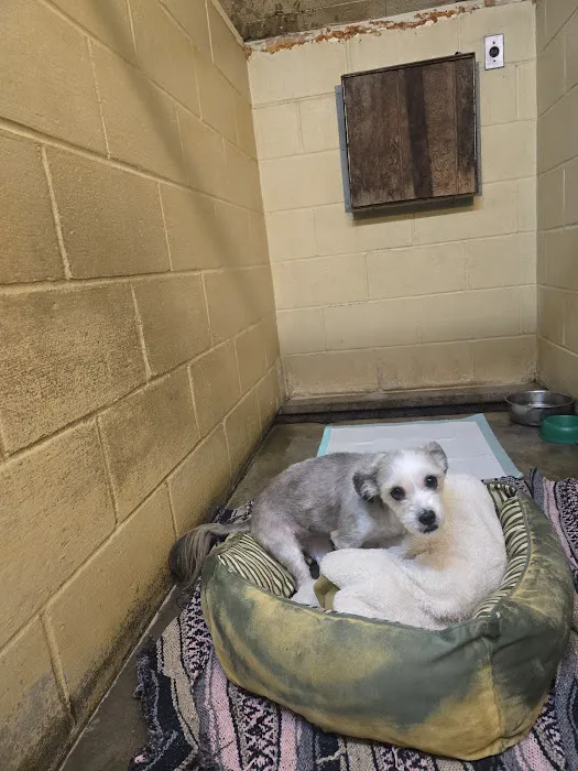 Mattatuck Animal Hospital 12