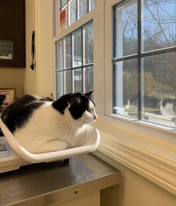 Cat's Corner Veterinary Hospital 12